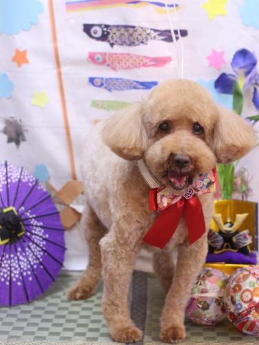 20240509ケンくん